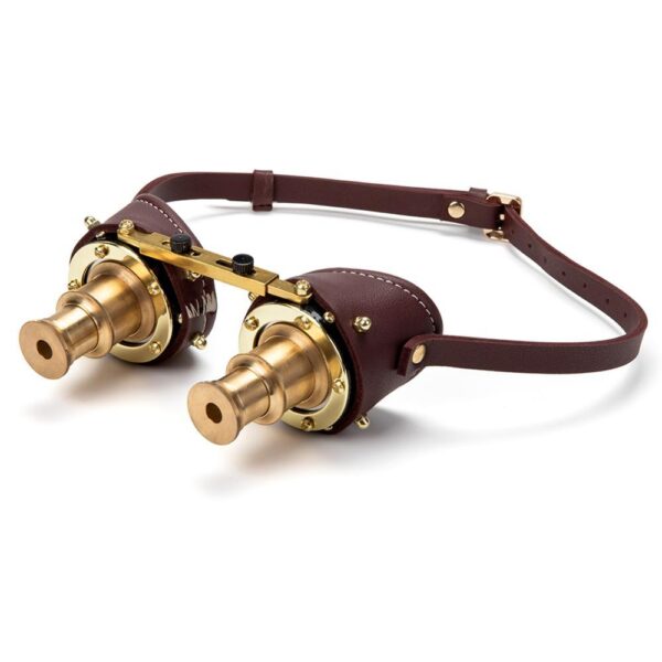 lunettes loupe steampunk