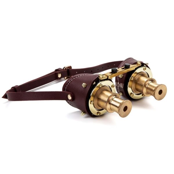 goggles loupe steampunk