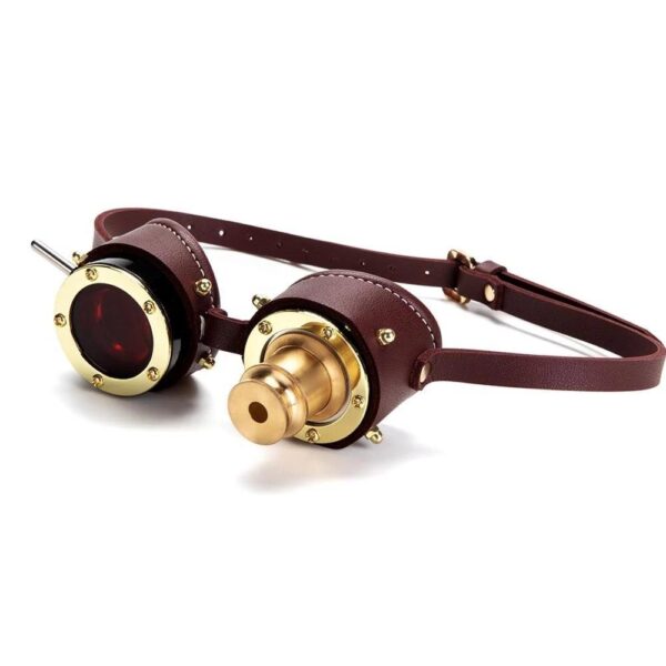 lunettes steampunk